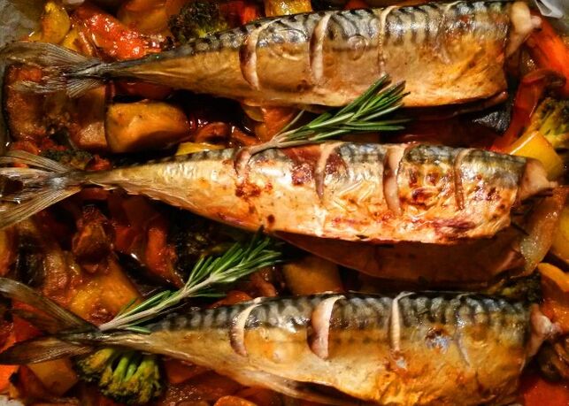 Mackerel
