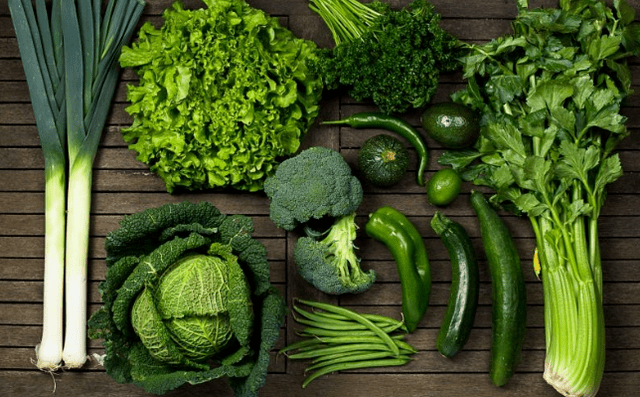 The role of fibers in the Keto diet