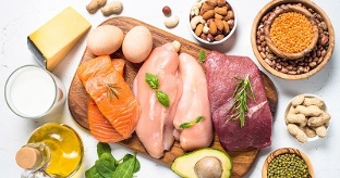 principles of protein diet for weight loss